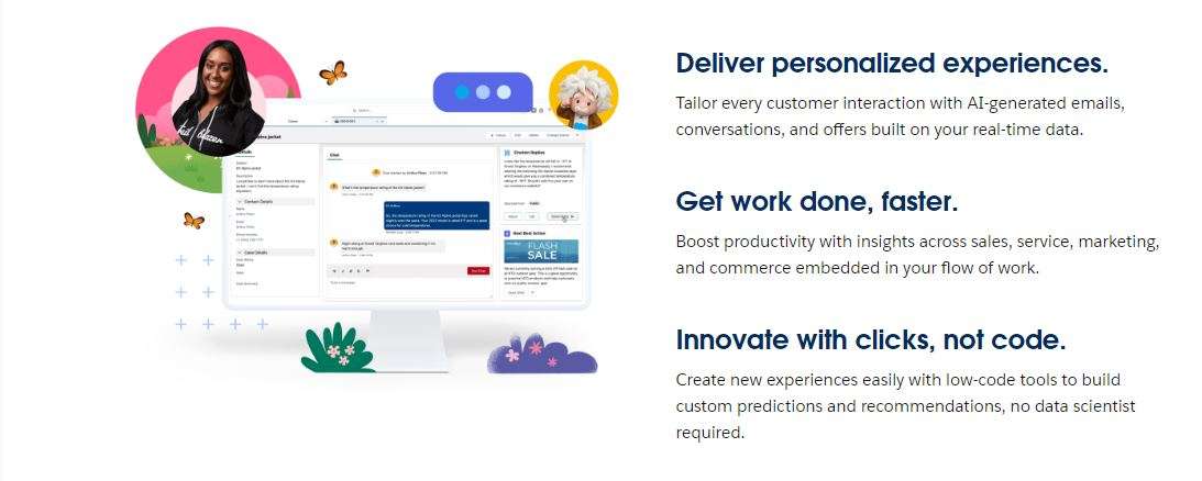 SalesForce Einstein AI Chatbot screenshot #1
