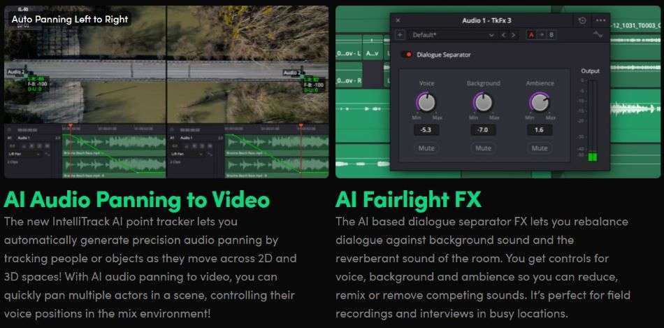 DaVinci Resolve screenshot #2