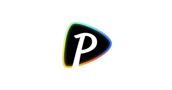 Pollo AI logo